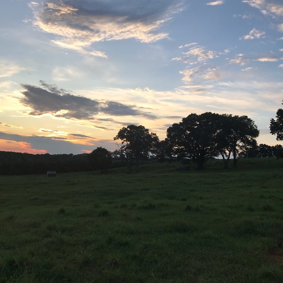 Meet your Posher, Eric - Picture 1 of 1